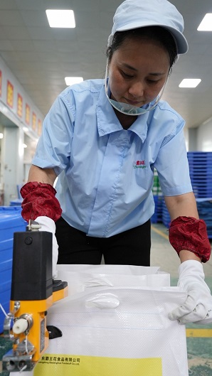 1765598296222102.jpg 編織袋鎖包,一等獎(jiǎng),張玲麗.JPG